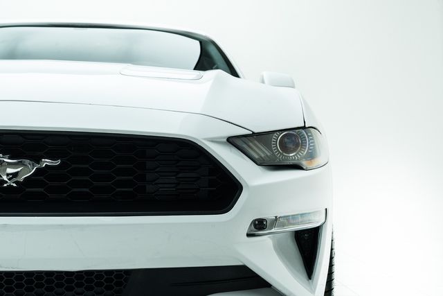 2019 Ford Mustang GT 5.0 Performance Package w/ Upgrades | Carrollton, TX | Texas Hot Rides