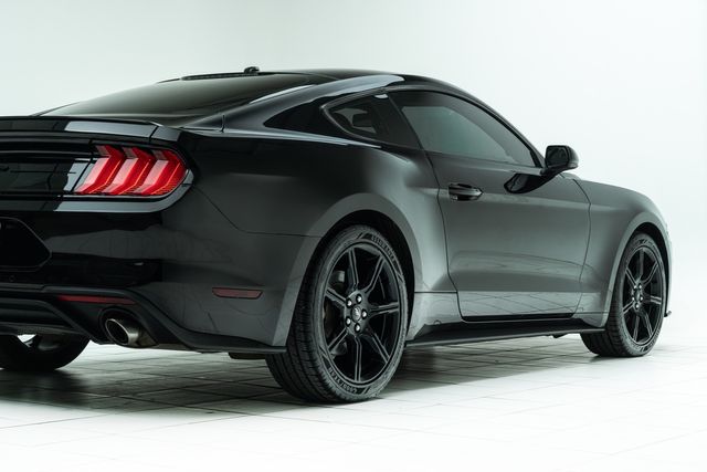 2019 Ford Mustang EcoBoost | Carrollton, TX | Texas Hot Rides