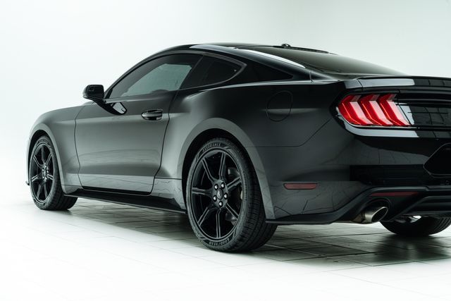 2019 Ford Mustang EcoBoost | Carrollton, TX | Texas Hot Rides 2019 Ford Mustang EcoBoost | Carrollton, TX | Texas Hot Rides