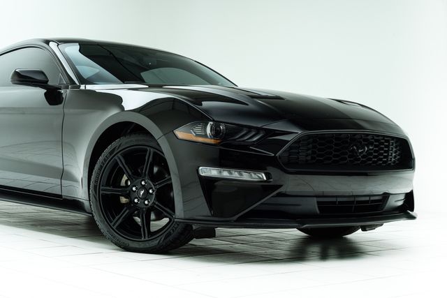 2019 Ford Mustang EcoBoost | Carrollton, TX | Texas Hot Rides