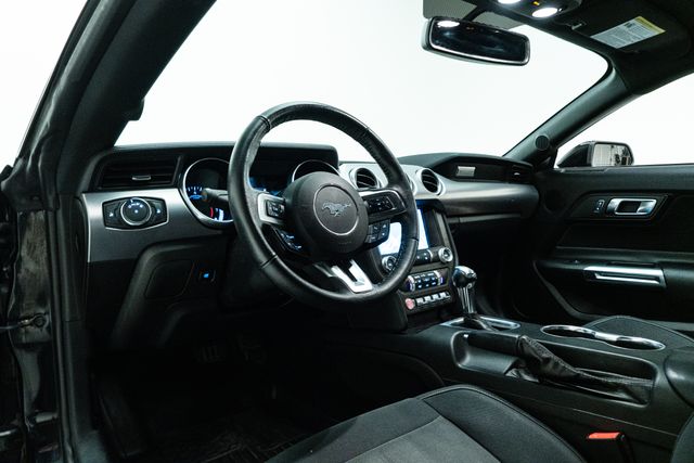 2019 Ford Mustang EcoBoost | Carrollton, TX | Texas Hot Rides