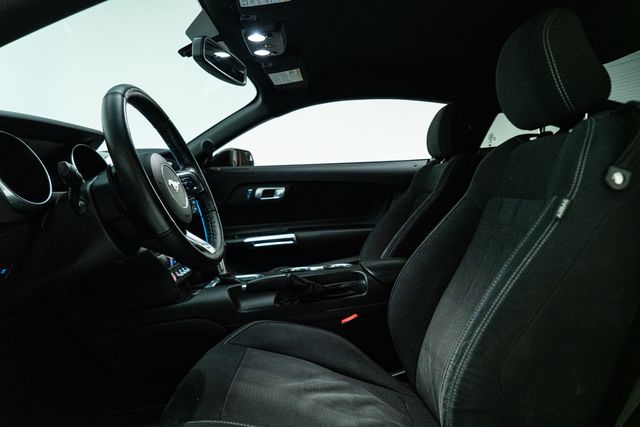 2019 Ford Mustang EcoBoost | Carrollton, TX | Texas Hot Rides 2019 Ford Mustang EcoBoost | Carrollton, TX | Texas Hot Rides