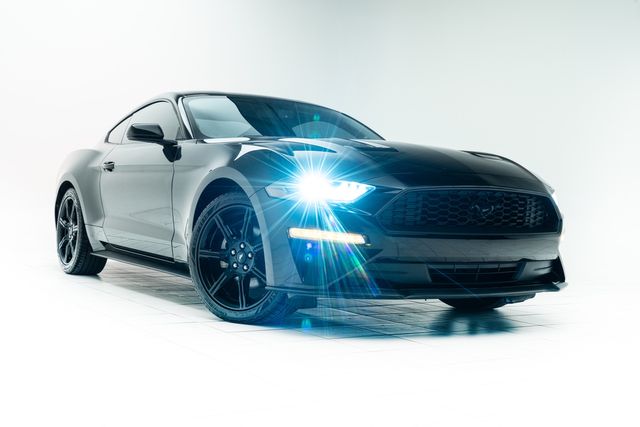 2019 Ford Mustang EcoBoost | Carrollton, TX | Texas Hot Rides