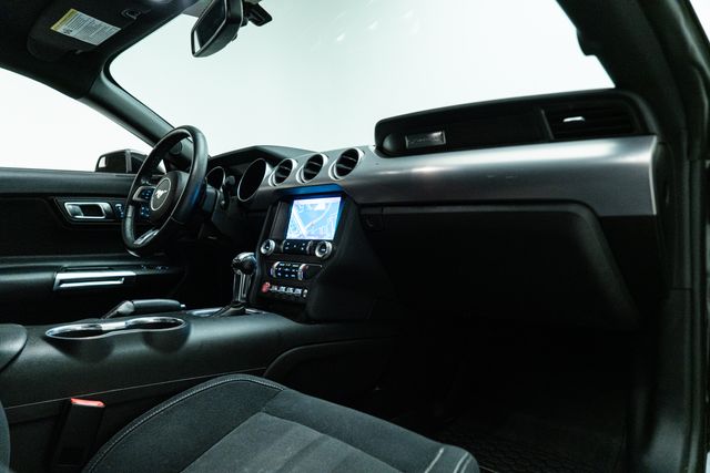 2019 Ford Mustang EcoBoost | Carrollton, TX | Texas Hot Rides