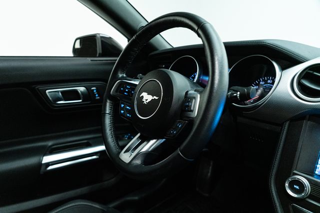 2019 Ford Mustang EcoBoost | Carrollton, TX | Texas Hot Rides