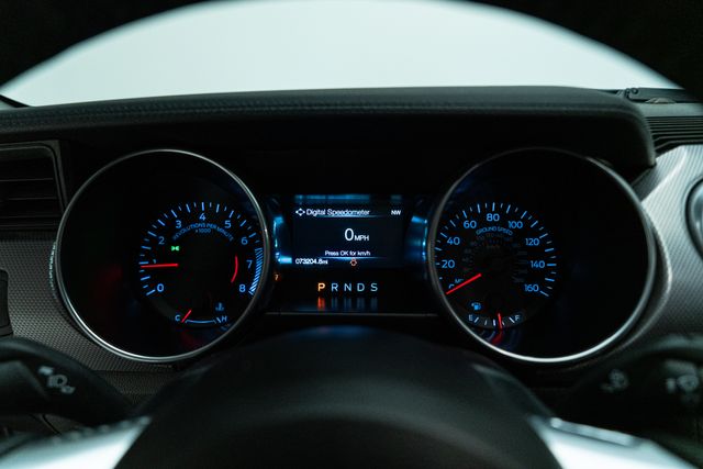 2019 Ford Mustang EcoBoost | Carrollton, TX | Texas Hot Rides