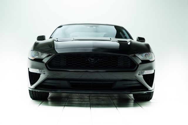 2019 Ford Mustang EcoBoost | Carrollton, TX | Texas Hot Rides