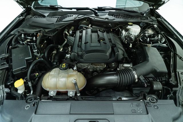 2019 Ford Mustang EcoBoost | Carrollton, TX | Texas Hot Rides 2019 Ford Mustang EcoBoost | Carrollton, TX | Texas Hot Rides