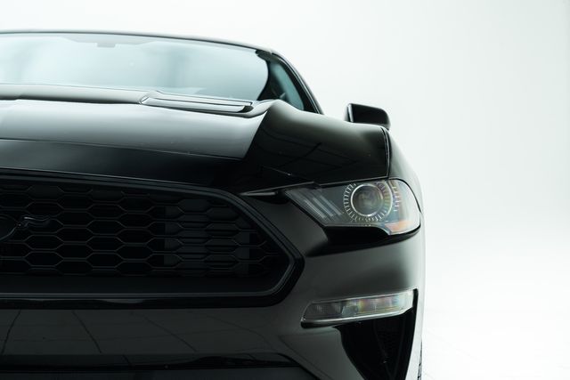 2019 Ford Mustang EcoBoost | Carrollton, TX | Texas Hot Rides 2019 Ford Mustang EcoBoost | Carrollton, TX | Texas Hot Rides