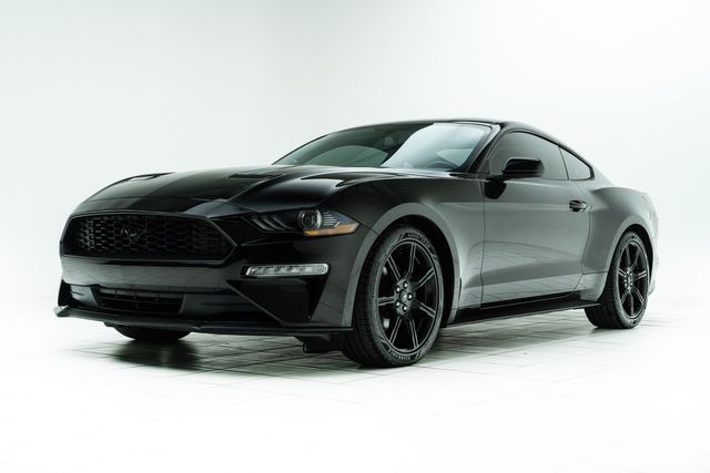 2019 Ford Mustang EcoBoost | Carrollton, TX | Texas Hot Rides 2019 Ford Mustang EcoBoost | Carrollton, TX | Texas Hot Rides