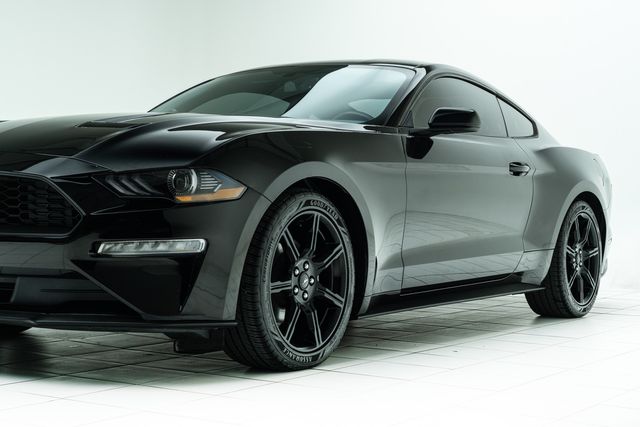 2019 Ford Mustang EcoBoost | Carrollton, TX | Texas Hot Rides 2019 Ford Mustang EcoBoost | Carrollton, TX | Texas Hot Rides