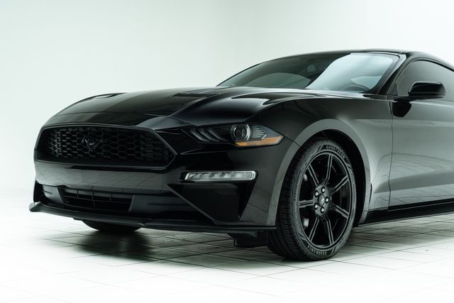 2019 Ford Mustang EcoBoost | Carrollton, TX | Texas Hot Rides