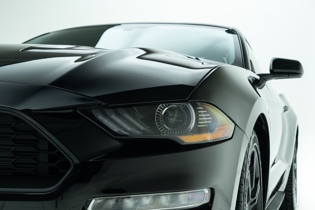 2019 Ford Mustang EcoBoost | Carrollton, TX | Texas Hot Rides 2019 Ford Mustang EcoBoost | Carrollton, TX | Texas Hot Rides