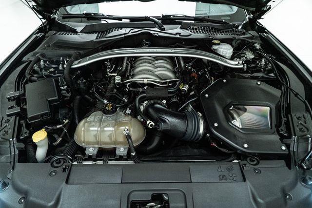 2019 Ford Mustang GT 5.0 Performance Package | Carrollton, TX | Texas Hot Rides