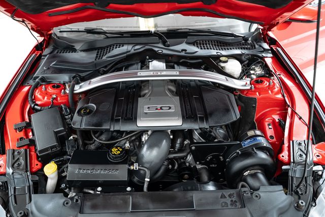 2019 Ford Mustang GT Premium Perfomance Pack Supercharged w Upgrades | Dallas, TX | RPM Garage 2019 Ford Mustang GT Premium Perfomance Pack Supercharged w Upgrades | Dallas, TX | RPM Garage