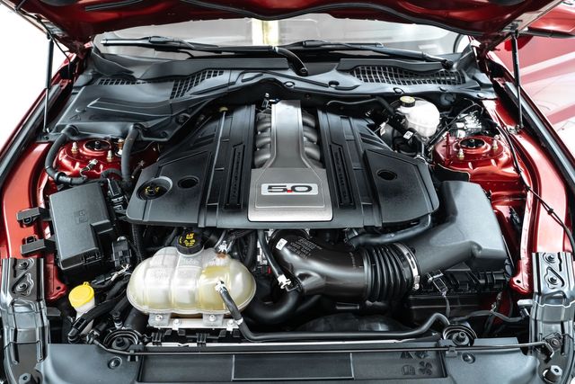 2019 Ford Mustang GT with Upgrades | Dallas, TX | RPM Garage