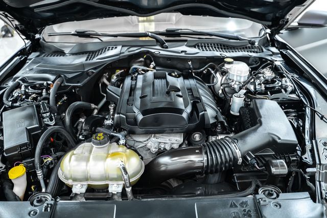 2019 Ford Mustang EcoBoost Premium with Many Upgrades | Dallas, TX | RPM Garage 2019 Ford Mustang EcoBoost Premium with Many Upgrades | Dallas, TX | RPM Garage