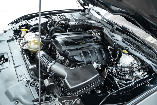 2019 Ford Mustang EcoBoost Premium with Many Upgrades | Dallas, TX | RPM Garage 2019 Ford Mustang EcoBoost Premium with Many Upgrades | Dallas, TX | RPM Garage