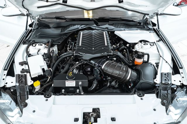 2019 Ford Mustang GT Whipple Supercharged with Many Upgrades | Dallas, TX | RPM Garage 2019 Ford Mustang GT Whipple Supercharged with Many Upgrades | Dallas, TX | RPM Garage