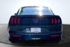 2019 Ford Mustang BULLITT | Elyria, OH | PHD Auto Group 2019 Ford Mustang BULLITT | Elyria, OH | PHD Auto Group