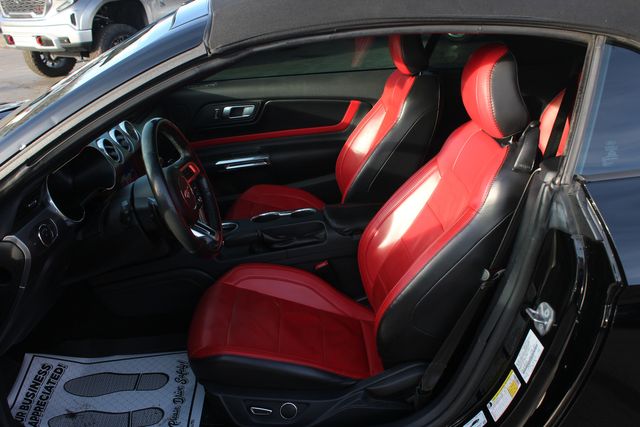 2019 Ford Mustang GT Premium | Granite City, Illinois | MasterCars Company Inc.