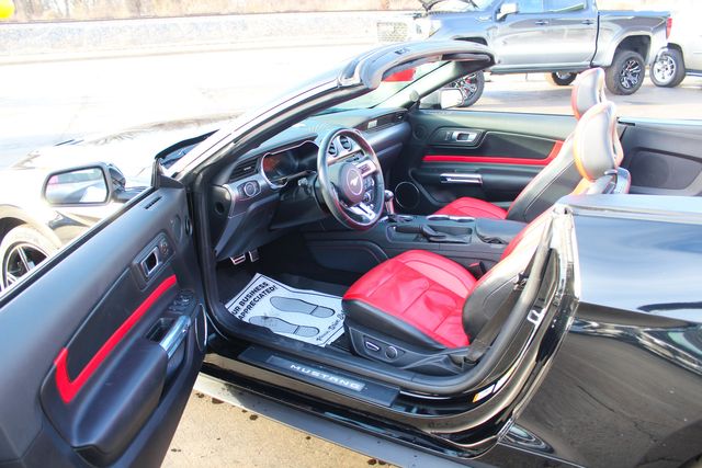 2019 Ford Mustang GT Premium | Granite City, Illinois | MasterCars Company Inc.