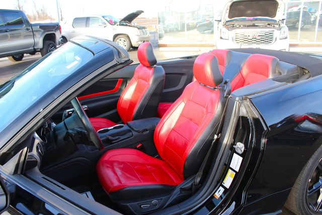 2019 Ford Mustang GT Premium | Granite City, Illinois | MasterCars Company Inc.