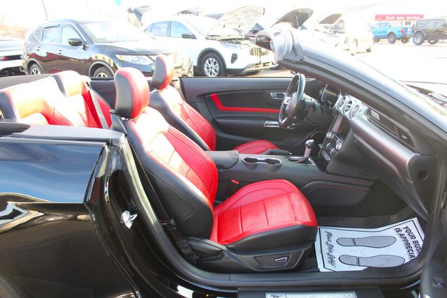 2019 Ford Mustang GT Premium | Granite City, Illinois | MasterCars Company Inc. 2019 Ford Mustang GT Premium | Granite City, Illinois | MasterCars Company Inc.