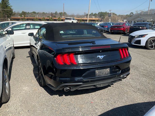 2019 Ford Mustang - John Gibson Auto Sales Hot Springs 2019 Ford Mustang - John Gibson Auto Sales Hot Springs