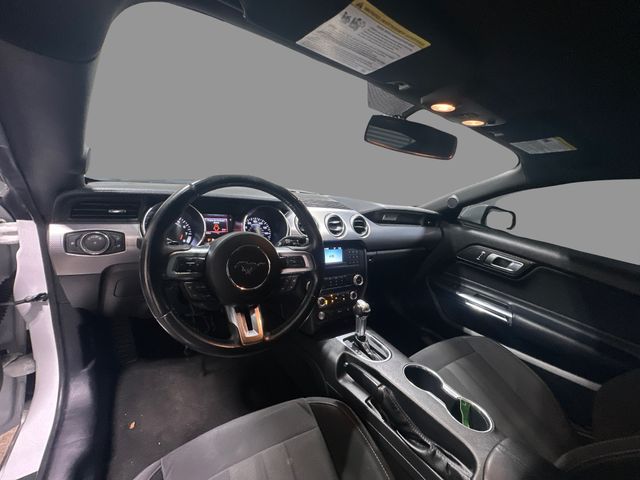 2019 Ford Mustang GT | Houston, TX | Texas Star Motors 2019 Ford Mustang GT | Houston, TX | Texas Star Motors