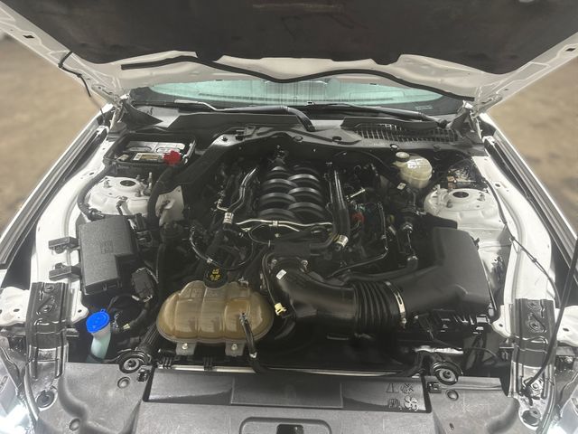 2019 Ford Mustang GT | Houston, TX | Texas Star Motors 2019 Ford Mustang GT | Houston, TX | Texas Star Motors