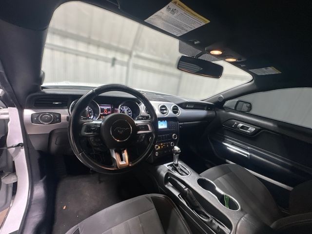 2019 Ford Mustang GT 2019 Ford Mustang GT