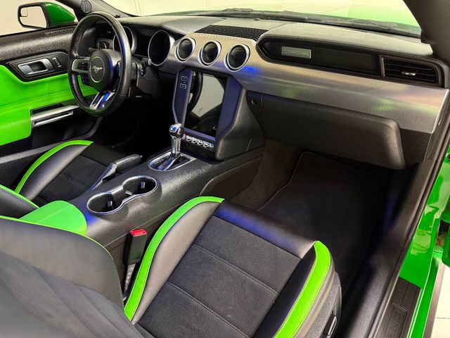 2019 Ford Mustang GT Premium 2dr Fastback | Houston, TX | Houston Auto Credit