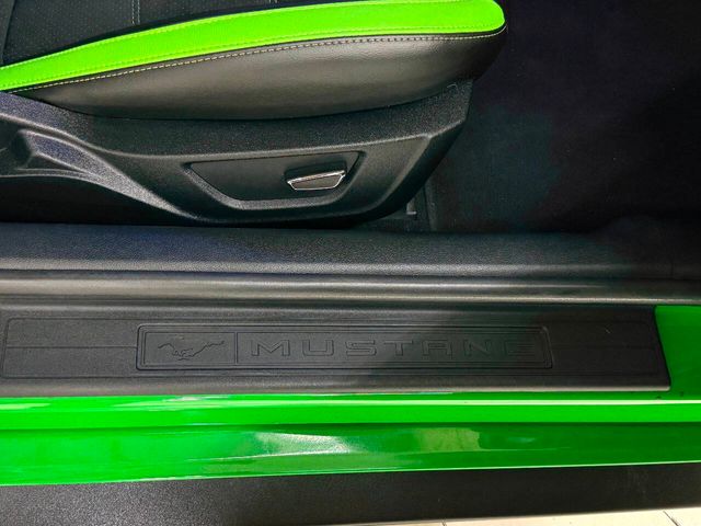 2019 Ford Mustang GT Premium 2dr Fastback | Houston, TX | Houston Auto Credit 2019 Ford Mustang GT Premium 2dr Fastback | Houston, TX | Houston Auto Credit