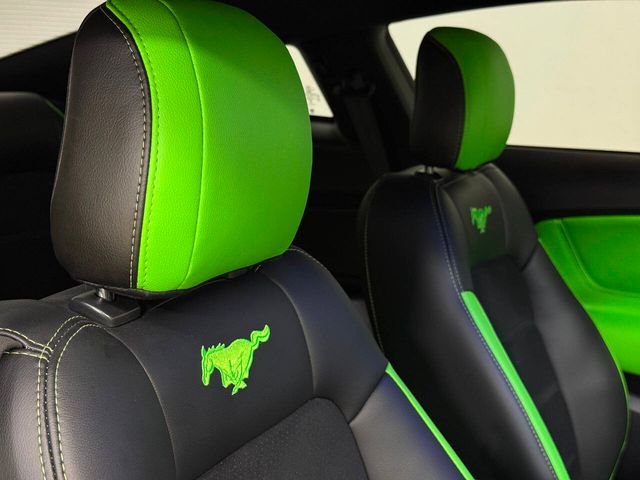 2019 Ford Mustang GT Premium 2dr Fastback | Houston, TX | Houston Auto Credit 2019 Ford Mustang GT Premium 2dr Fastback | Houston, TX | Houston Auto Credit