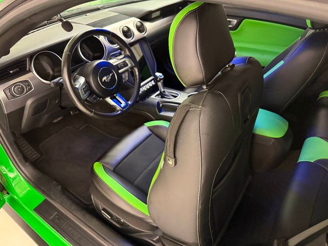 2019 Ford Mustang GT Premium 2dr Fastback | Houston, TX | Houston Auto Credit