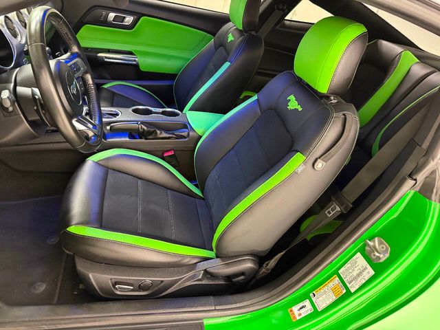 2019 Ford Mustang GT Premium 2dr Fastback | Houston, TX | Houston Auto Credit