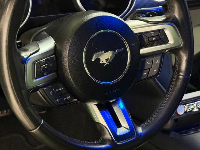 2019 Ford Mustang GT Premium 2dr Fastback | Houston, TX | Houston Auto Credit