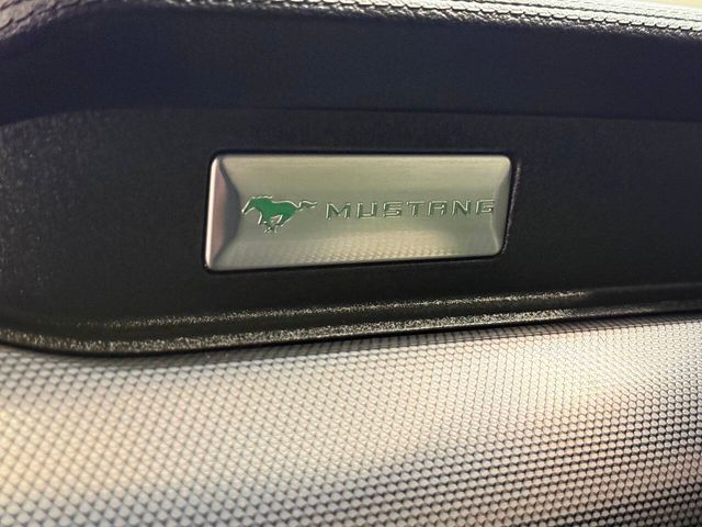 2019 Ford Mustang GT Premium 2dr Fastback | Houston, TX | Houston Auto Credit 2019 Ford Mustang GT Premium 2dr Fastback | Houston, TX | Houston Auto Credit