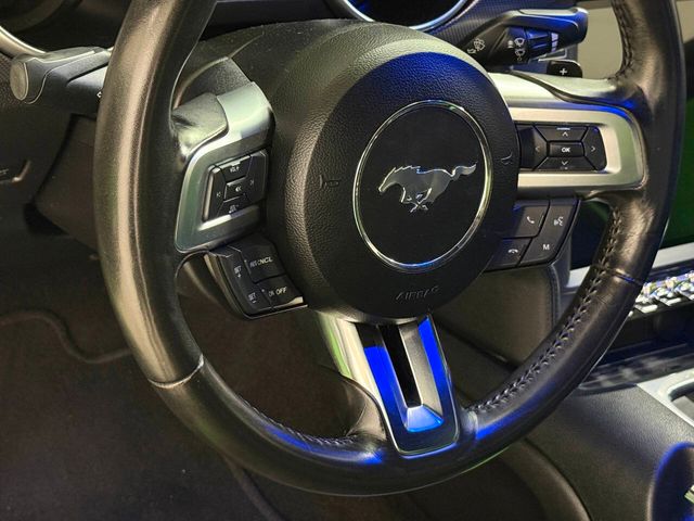 2019 Ford Mustang GT Premium 2dr Fastback | Houston, TX | Houston Auto Credit 2019 Ford Mustang GT Premium 2dr Fastback | Houston, TX | Houston Auto Credit