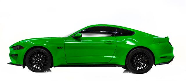 2019 Ford Mustang GT Premium 2dr Fastback | Houston, TX | Houston Auto Credit