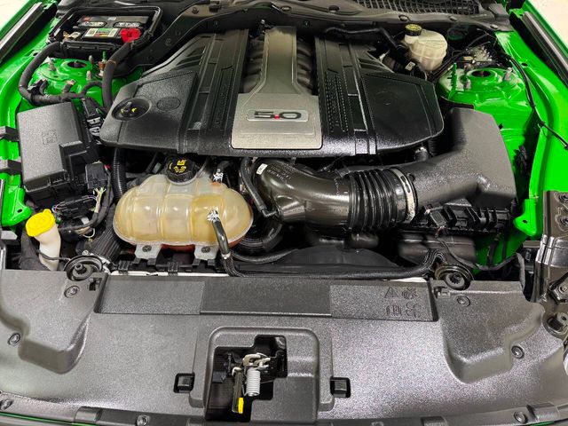 2019 Ford Mustang GT Premium 2dr Fastback | Houston, TX | Houston Auto Credit