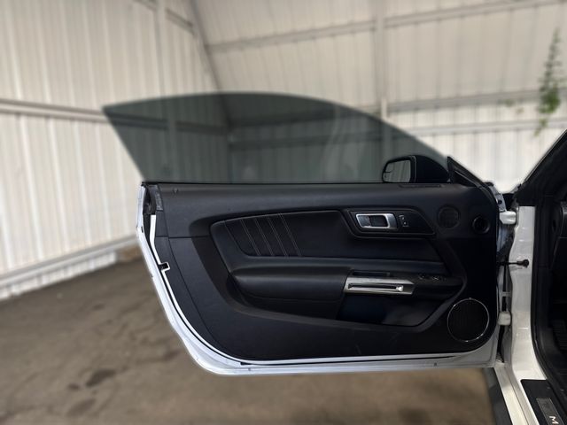 2019 Ford Mustang GT Premium | Houston, TX | Texas Star Motors