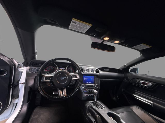 2019 Ford Mustang GT Premium | Houston, TX | Texas Star Motors