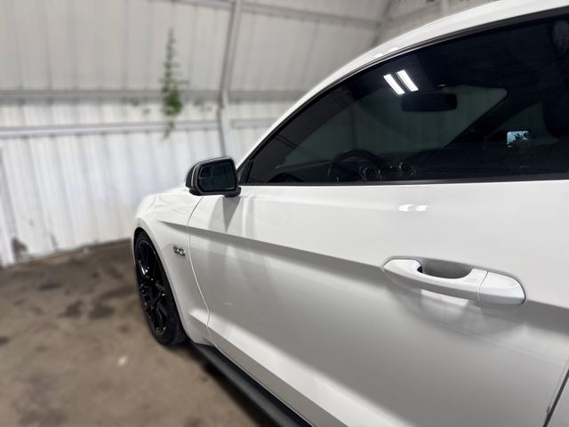 2019 Ford Mustang GT Premium | Houston, TX | Texas Star Motors