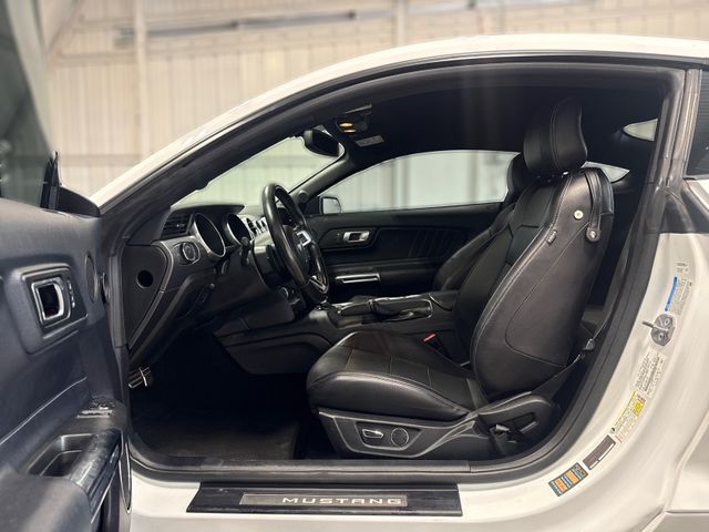 2019 Ford Mustang GT Premium | Houston, TX | Texas Star Motors 2019 Ford Mustang GT Premium | Houston, TX | Texas Star Motors