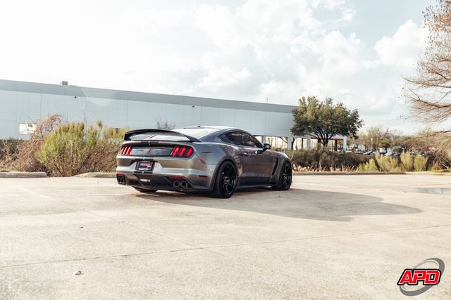 2019 Ford Mustang Shelby GT350R 2019 Ford Mustang Shelby GT350R
