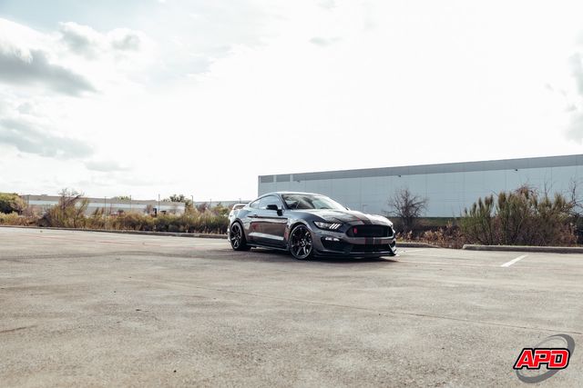 2019 Ford Mustang Shelby GT350R 2019 Ford Mustang Shelby GT350R