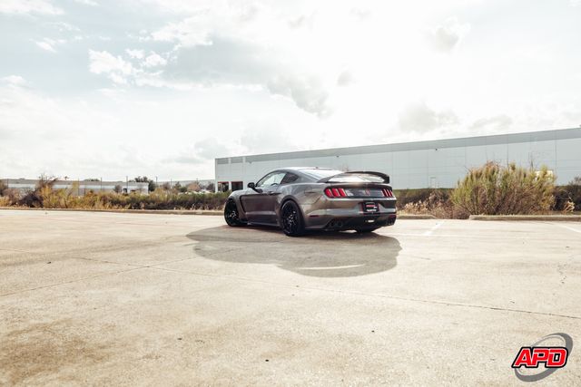 2019 Ford Mustang Shelby GT350R 2019 Ford Mustang Shelby GT350R