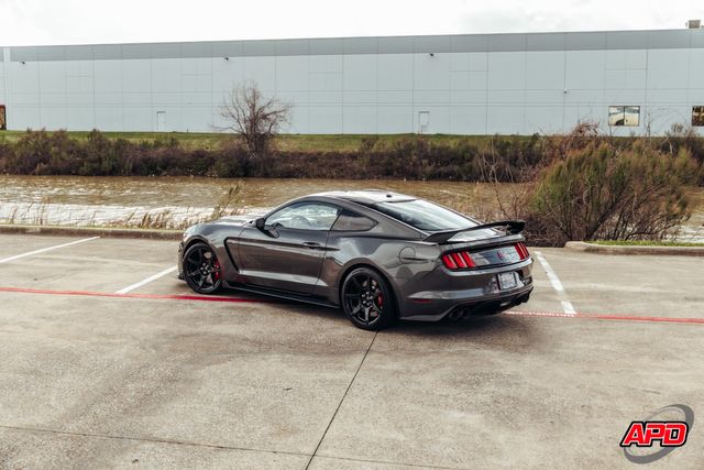 2019 Ford Mustang Shelby GT350R 2019 Ford Mustang Shelby GT350R